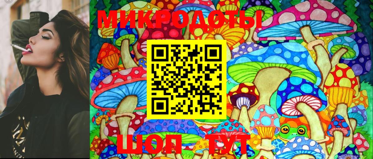 Галлюциногенные грибы Psilocybe  Вход с VPN  Элиста  Псилоцибиновые грибы мицелий 