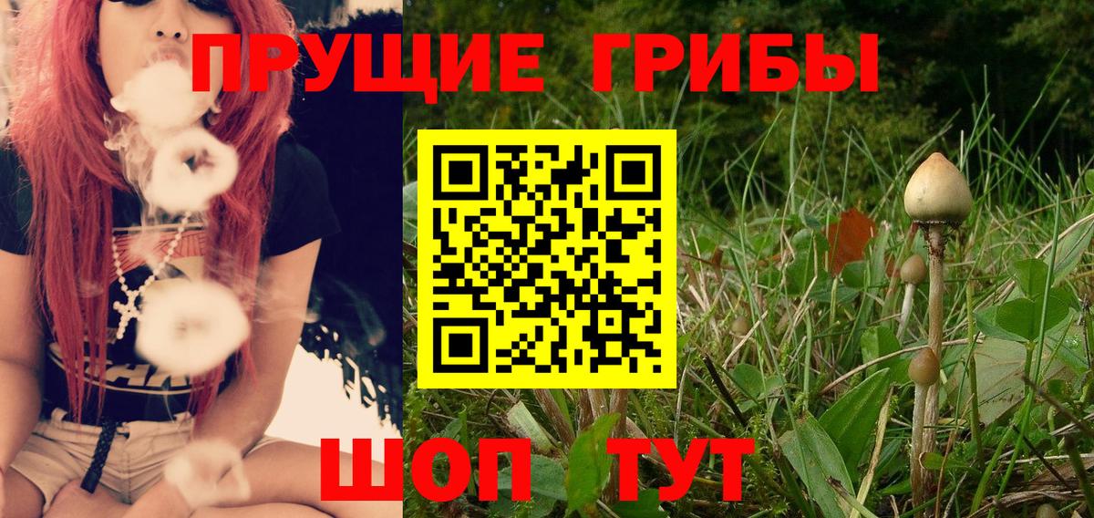 Галлюциногенные грибы мицелий Элиста